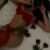 Bodrum Escort 7/24 Bayan Bul